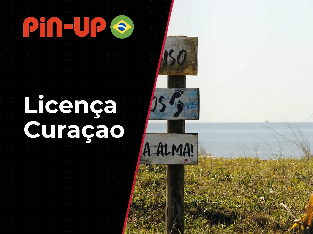 Sinais de confiança na plataforma. A
